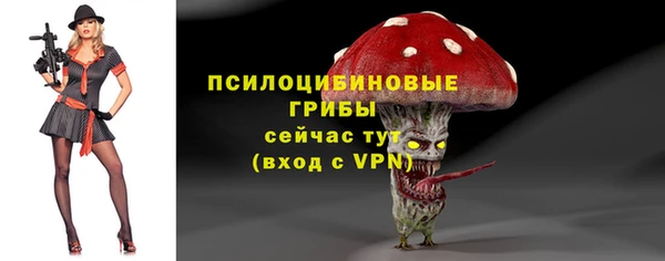 таблы Лиски