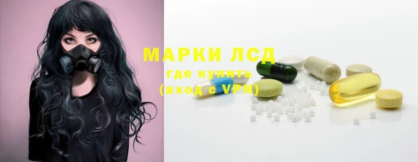 индика Арсеньев