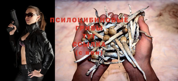mix Алексин
