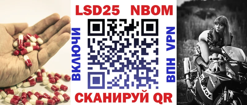 блэк спрут как зайти  Бежецк  LSD-25 экстази кислота 
