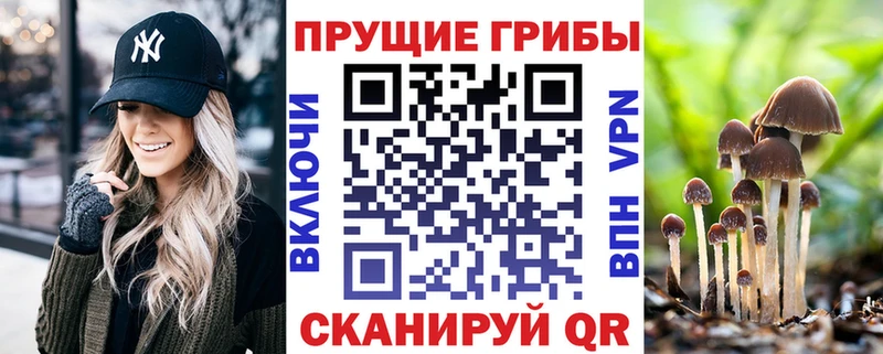 где купить наркоту  Бежецк  Псилоцибиновые грибы GOLDEN TEACHER 